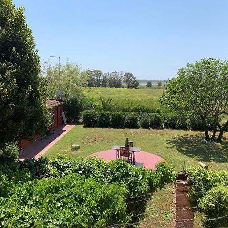 Le CerqueteCasale Degli Ulivi Maccarese别墅 外观 照片