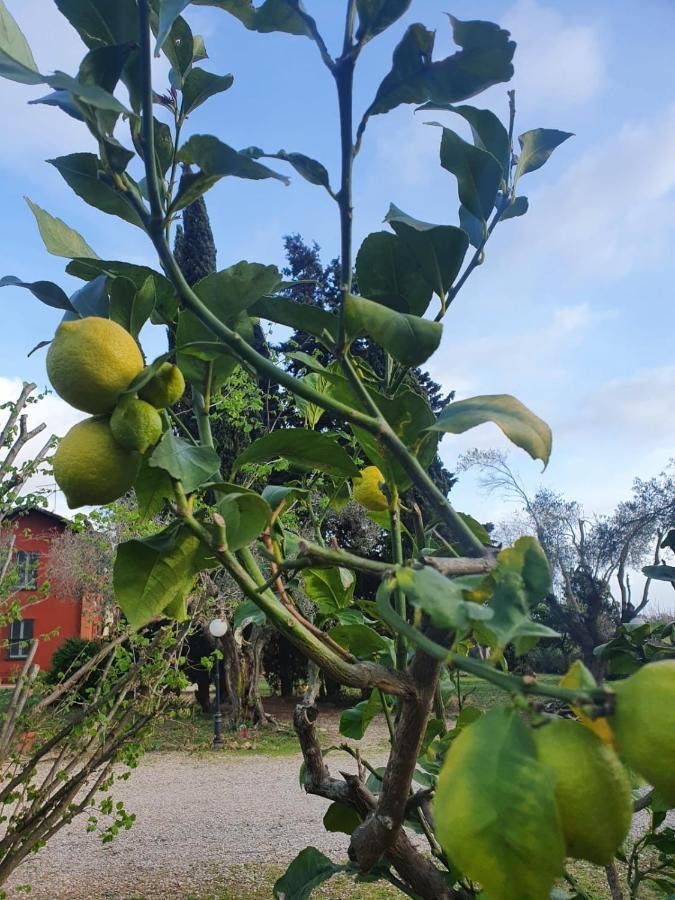 Le CerqueteCasale Degli Ulivi Maccarese别墅 外观 照片