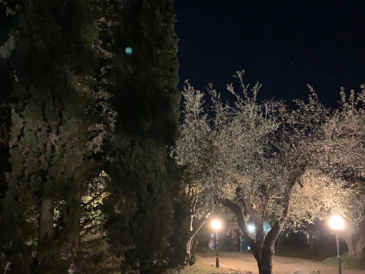 Le CerqueteCasale Degli Ulivi Maccarese别墅 外观 照片